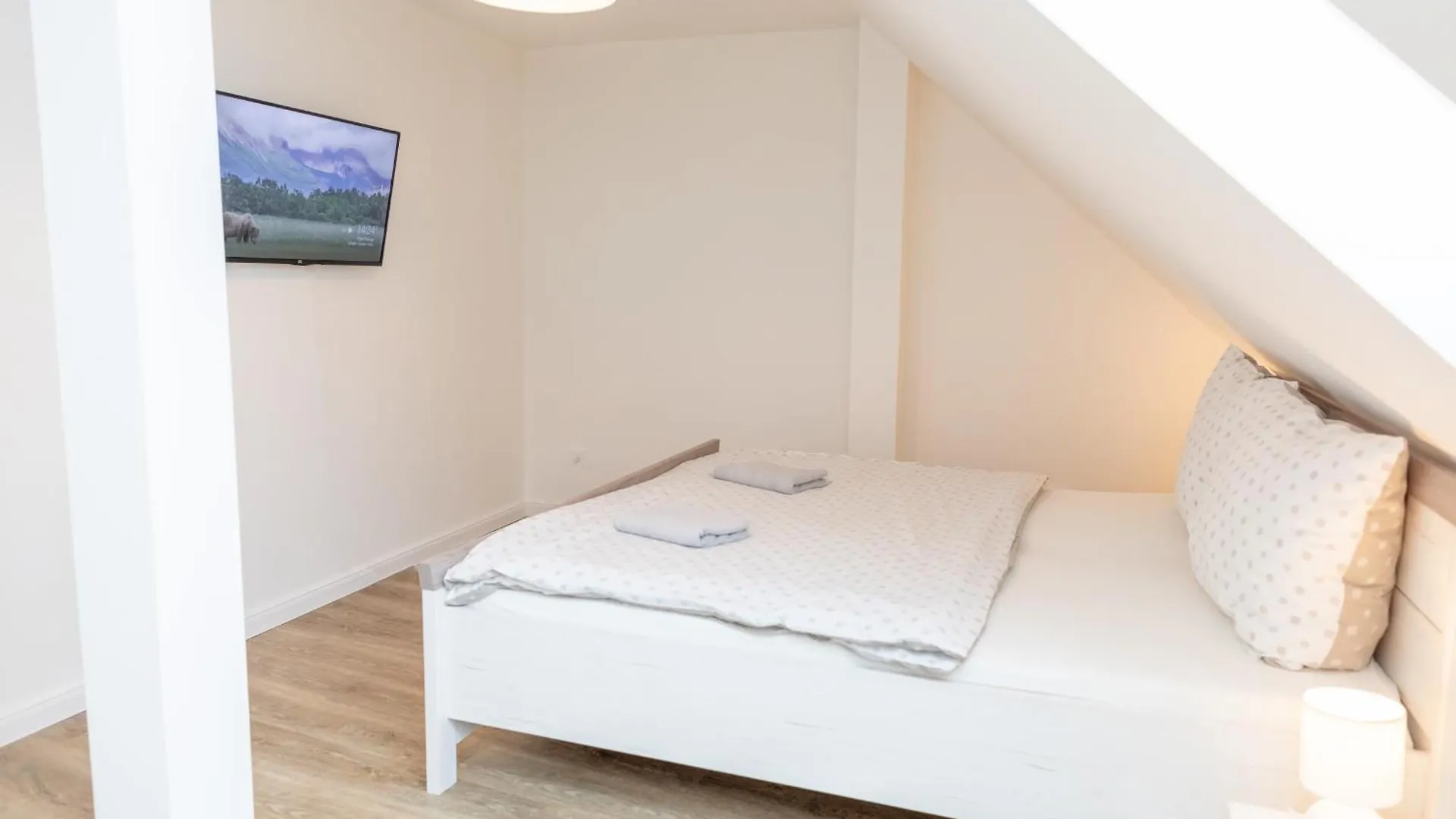 公寓 Anjelsky Apartman 95M 布拉格 捷克